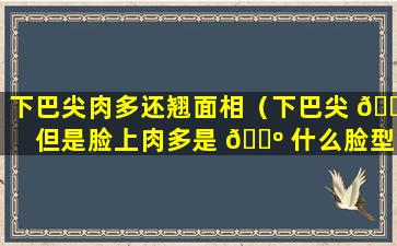 下巴尖肉多还翘面相（下巴尖 🌷 但是脸上肉多是 🐺 什么脸型）